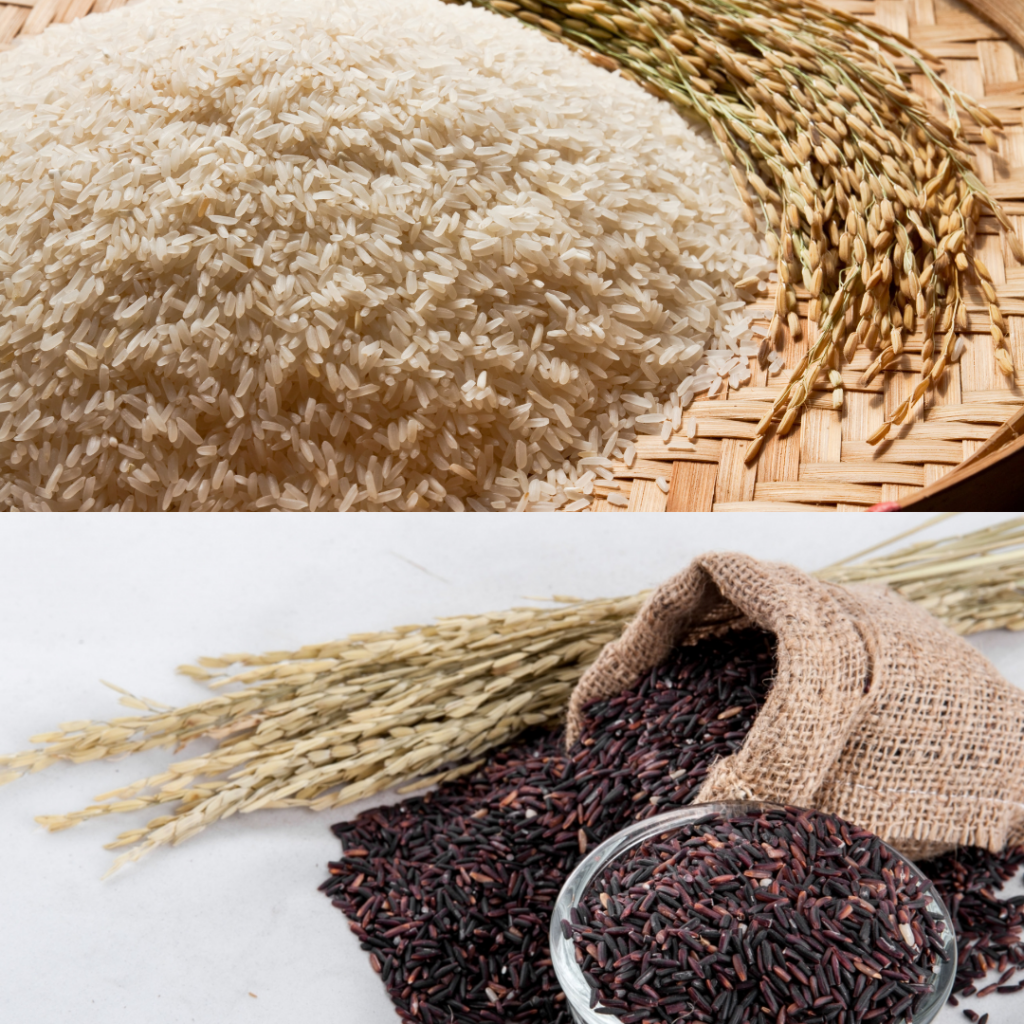 Exploring the Differences and Benefits of Jasmine Rice and Riceberry